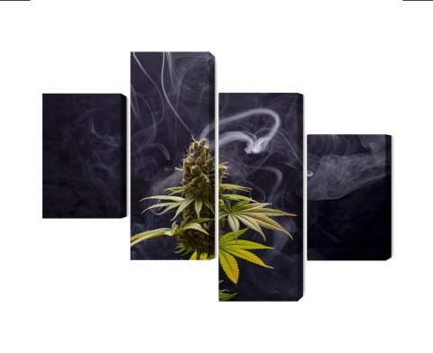 Obraz Wieloczęściowy Roślina Konopi Na Zadymionym Tle Canvas Naturalny 160x100 LBS-3971-NC160-100_2X40-100_2X40-60