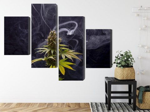 Obraz Wieloczęściowy Roślina Konopi Na Zadymionym Tle Canvas Naturalny 160x100 LBS-3971-NC160-100_2X40-100_2X40-60