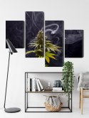 Obraz Wieloczęściowy Roślina Konopi Na Zadymionym Tle Canvas Naturalny 160x100 LBS-3971-NC160-100_2X40-100_2X40-60