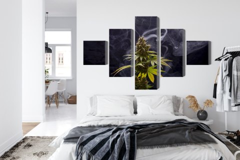 Obraz Wieloczęściowy Roślina Konopi Na Zadymionym Tle Canvas Naturalny 250x150 LBS-3972-NC250-150_1X50-150_2X50-100_2X50-50