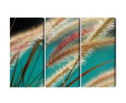 Obraz Wieloczęściowy Rośliny W Skali Makro Canvas 150x100 LBS-3688-C150-100_3X50-100