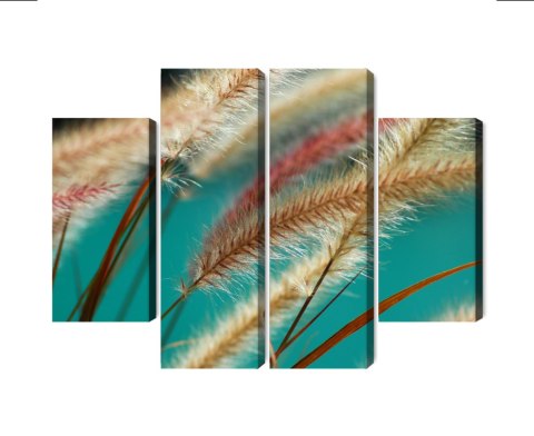 Obraz Wieloczęściowy Rośliny W Skali Makro Canvas 200x150 LBS-3690-C200-150_2X50-150_2X50-100