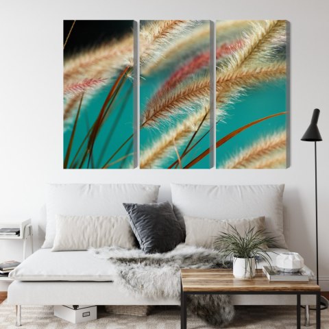 Obraz Wieloczęściowy Rośliny W Skali Makro Canvas Naturalny 120x80 LBS-3688-NC120-80_3X40-80