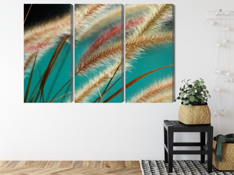 Obraz Wieloczęściowy Rośliny W Skali Makro Canvas Naturalny 150x100 LBS-3688-NC150-100_3X50-100