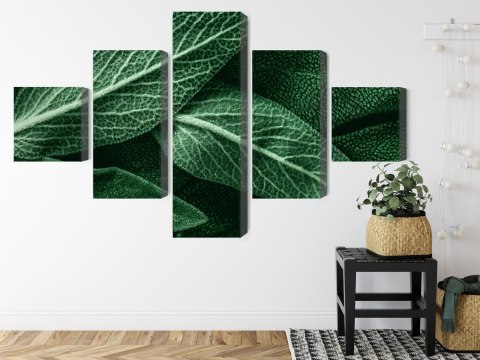 Obraz Wieloczęściowy Szałwia Odchodzi W Skali Makro Canvas Naturalny 200x120 LBS-3812-NC200-120_1X40-120_2X40-80_2X40-40