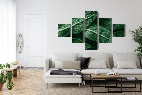 Obraz Wieloczęściowy Szałwia Odchodzi W Skali Makro Canvas Naturalny 250x150 LBS-3812-NC250-150_1X50-150_2X50-100_2X50-50