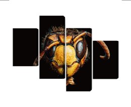 Obraz Wieloczęściowy Szerszeń W Skali Makro Canvas 240x150 LBS-3871-C240-150_2X60-150_2X60-90