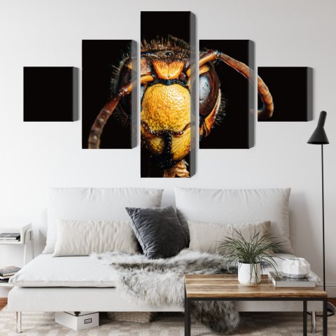 Obraz Wieloczęściowy Szerszeń W Skali Makro Canvas 250x150 LBS-3872-C250-150_1X50-150_2X50-100_2X50-50