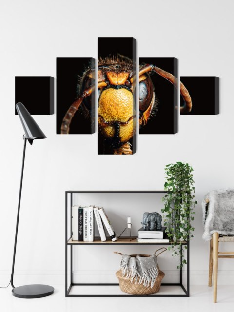 Obraz Wieloczęściowy Szerszeń W Skali Makro Canvas 250x150 LBS-3872-C250-150_1X50-150_2X50-100_2X50-50