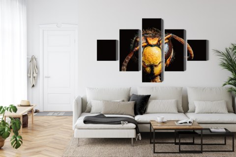 Obraz Wieloczęściowy Szerszeń W Skali Makro Canvas Naturalny 200x120 LBS-3872-NC200-120_1X40-120_2X40-80_2X40-40