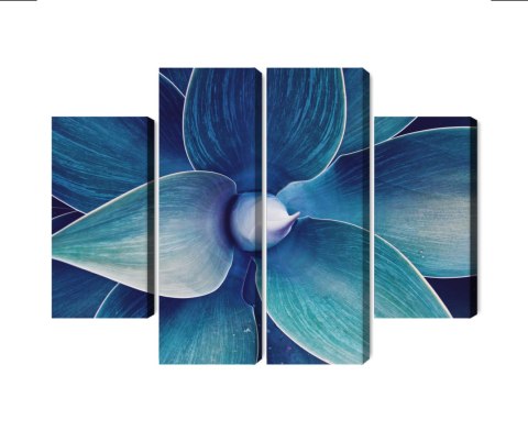 Obraz Wieloczęściowy Widok Z Góry Rośliny W Skali Makro Canvas 120x90 LBS-3880-C120-90_2X30-90_2X30-60