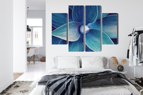 Obraz Wieloczęściowy Widok Z Góry Rośliny W Skali Makro Canvas 120x90 LBS-3880-C120-90_2X30-90_2X30-60