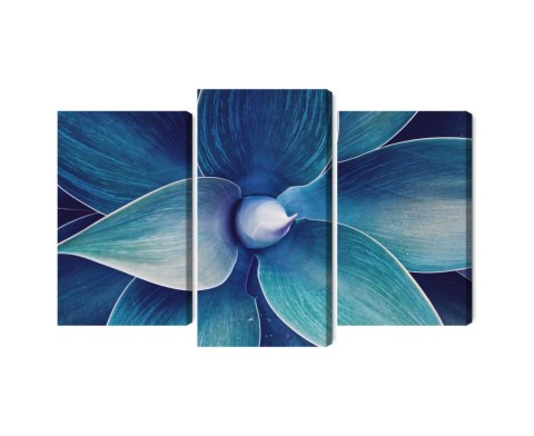 Obraz Wieloczęściowy Widok Z Góry Rośliny W Skali Makro Canvas 150x100 LBS-3879-C150-100_1X50-100_2X50-75