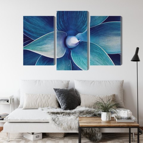 Obraz Wieloczęściowy Widok Z Góry Rośliny W Skali Makro Canvas 150x100 LBS-3879-C150-100_1X50-100_2X50-75