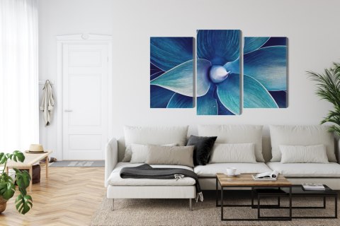 Obraz Wieloczęściowy Widok Z Góry Rośliny W Skali Makro Canvas Naturalny 150x100 LBS-3879-NC150-100_1X50-100_2X50-75