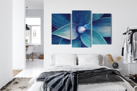 Obraz Wieloczęściowy Widok Z Góry Rośliny W Skali Makro Canvas Naturalny 150x100 LBS-3879-NC150-100_1X50-100_2X50-75