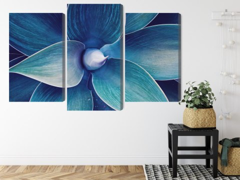 Obraz Wieloczęściowy Widok Z Góry Rośliny W Skali Makro Canvas Naturalny 180x120 LBS-3879-NC180-120_1X60-120_2X60-90