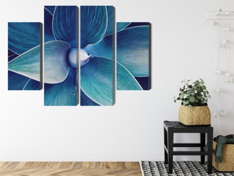 Obraz Wieloczęściowy Widok Z Góry Rośliny W Skali Makro Canvas Naturalny 200x150 LBS-3880-NC200-150_2X50-150_2X50-100