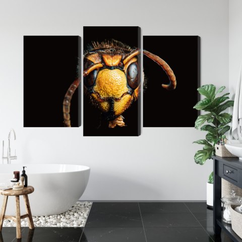 Obraz Wieloczęściowy Szerszeń W Skali Makro Canvas 150x100 LBS-3869-C150-100_1X50-100_2X50-75