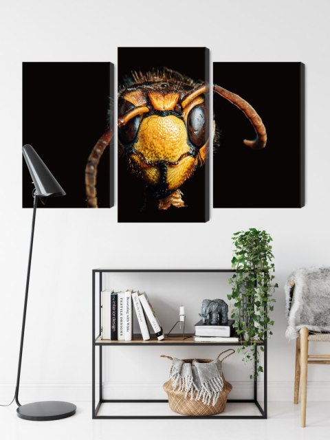 Obraz Wieloczęściowy Szerszeń W Skali Makro Canvas 150x100 LBS-3869-C150-100_1X50-100_2X50-75