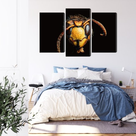 Obraz Wieloczęściowy Szerszeń W Skali Makro Canvas Naturalny 120x80 LBS-3869-NC120-80_1X40-80_2X40-60