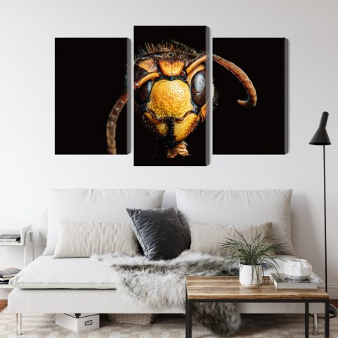 Obraz Wieloczęściowy Szerszeń W Skali Makro Canvas Naturalny 120x80 LBS-3869-NC120-80_1X40-80_2X40-60
