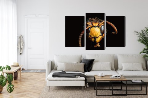 Obraz Wieloczęściowy Szerszeń W Skali Makro Canvas Naturalny 120x80 LBS-3869-NC120-80_1X40-80_2X40-60