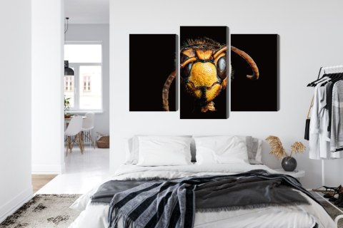 Obraz Wieloczęściowy Szerszeń W Skali Makro Canvas Naturalny 120x80 LBS-3869-NC120-80_1X40-80_2X40-60