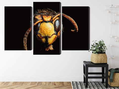 Obraz Wieloczęściowy Szerszeń W Skali Makro Canvas Naturalny 150x100 LBS-3869-NC150-100_1X50-100_2X50-75