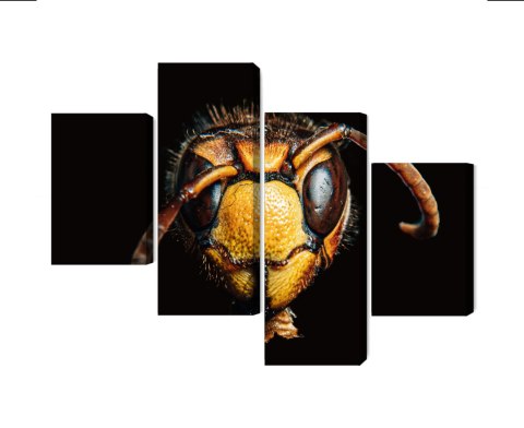 Obraz Wieloczęściowy Szerszeń W Skali Makro Canvas Naturalny 240x150 LBS-3871-NC240-150_2X60-150_2X60-90
