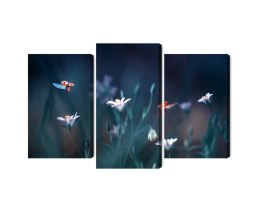 Obraz Wieloczęściowy Biedronki I Polne Kwiaty W Skali Makro Canvas 180x120 LBS-3944-C180-120_1X60-120_2X60-90
