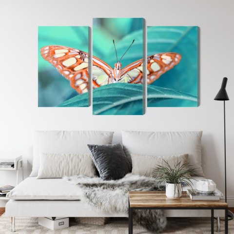 Obraz Wieloczęściowy Motyl Na Liściu W Skali Makro Canvas 180x120 LBS-3939-C180-120_1X60-120_2X60-90