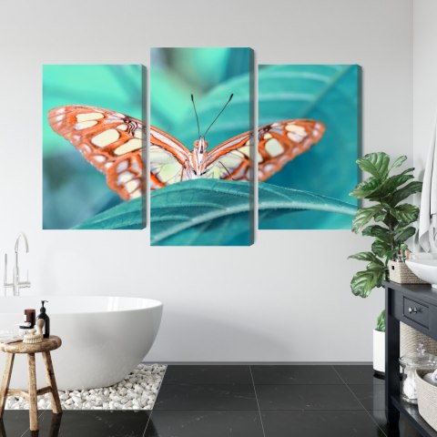 Obraz Wieloczęściowy Motyl Na Liściu W Skali Makro Canvas 180x120 LBS-3939-C180-120_1X60-120_2X60-90