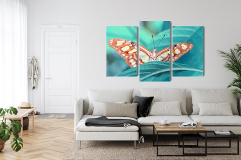 Obraz Wieloczęściowy Motyl Na Liściu W Skali Makro Canvas Naturalny 120x80 LBS-3939-NC120-80_1X40-80_2X40-60