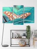 Obraz Wieloczęściowy Motyl Na Liściu W Skali Makro Canvas Naturalny 150x100 LBS-3939-NC150-100_1X50-100_2X50-75