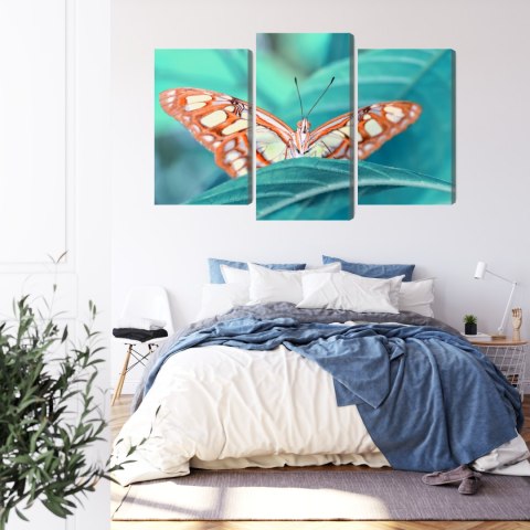 Obraz Wieloczęściowy Motyl Na Liściu W Skali Makro Canvas Naturalny 180x120 LBS-3939-NC180-120_1X60-120_2X60-90
