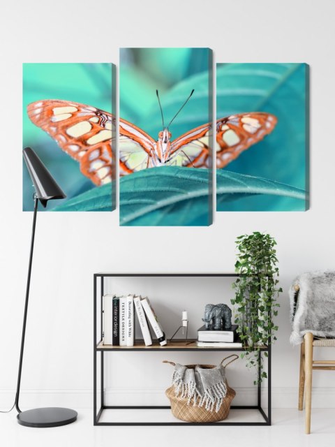 Obraz Wieloczęściowy Motyl Na Liściu W Skali Makro Canvas Naturalny 180x120 LBS-3939-NC180-120_1X60-120_2X60-90