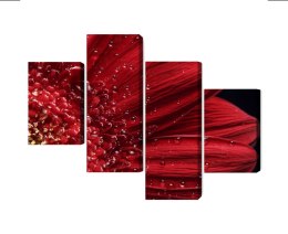 Obraz Wieloczęściowy Płatki Kwiatów W Skali Makro Canvas 160x100 LBS-3851-C160-100_2X40-100_2X40-60