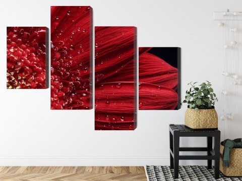 Obraz Wieloczęściowy Płatki Kwiatów W Skali Makro Canvas Naturalny 240x150 LBS-3851-NC240-150_2X60-150_2X60-90