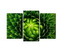 Obraz Wieloczęściowy Zielona Roślina W Skali Makro Canvas 150x100 LBS-3709-C150-100_1X50-100_2X50-75