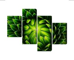 Obraz Wieloczęściowy Zielona Roślina W Skali Makro Canvas 160x100 LBS-3711-C160-100_2X40-100_2X40-60