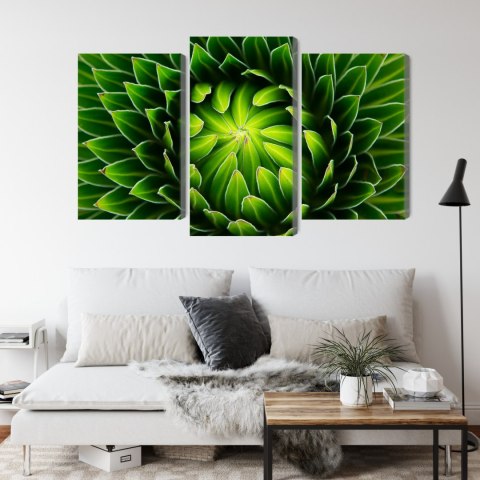 Obraz Wieloczęściowy Zielona Roślina W Skali Makro Canvas Naturalny 120x80 LBS-3709-NC120-80_1X40-80_2X40-60
