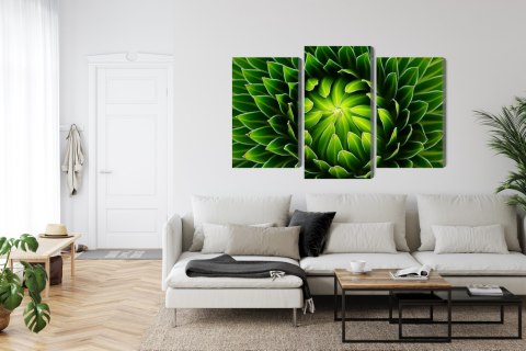 Obraz Wieloczęściowy Zielona Roślina W Skali Makro Canvas Naturalny 120x80 LBS-3709-NC120-80_1X40-80_2X40-60
