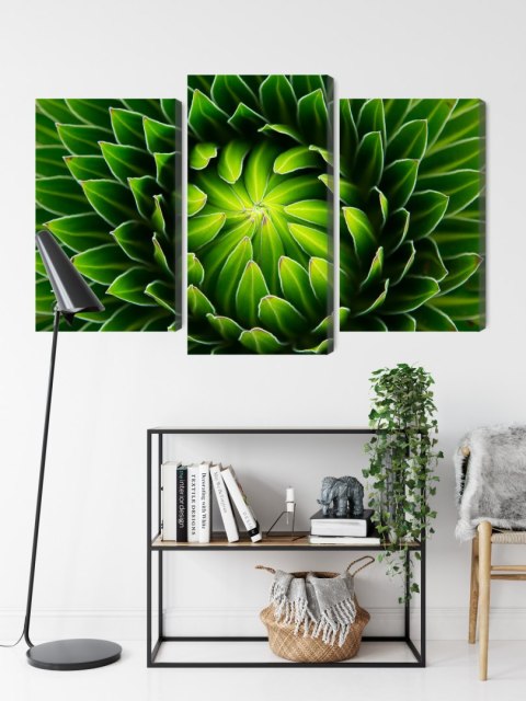 Obraz Wieloczęściowy Zielona Roślina W Skali Makro Canvas Naturalny 150x100 LBS-3709-NC150-100_1X50-100_2X50-75