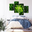 Obraz Wieloczęściowy Zielona Roślina W Skali Makro Canvas Naturalny 160x100 LBS-3711-NC160-100_2X40-100_2X40-60