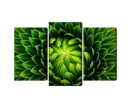 Obraz Wieloczęściowy Zielona Roślina W Skali Makro Canvas Naturalny 180x120 LBS-3709-NC180-120_1X60-120_2X60-90