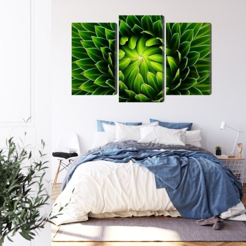 Obraz Wieloczęściowy Zielona Roślina W Skali Makro Canvas Naturalny 180x120 LBS-3709-NC180-120_1X60-120_2X60-90