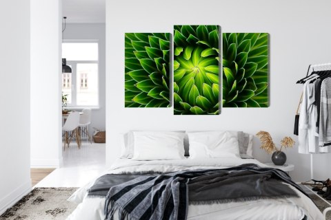 Obraz Wieloczęściowy Zielona Roślina W Skali Makro Canvas Naturalny 180x120 LBS-3709-NC180-120_1X60-120_2X60-90
