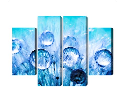 Obraz Wieloczęściowy Krople Rosy Na Nasionach Mniszka Lekarskiego W Skali Makro Canvas 200x150 LBS-3705-C200-150_2X50-150_2X50-