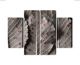 Obraz Wieloczęściowy Szare Liście W Skali Makro Canvas 200x150 LBS-3865-C200-150_2X50-150_2X50-100